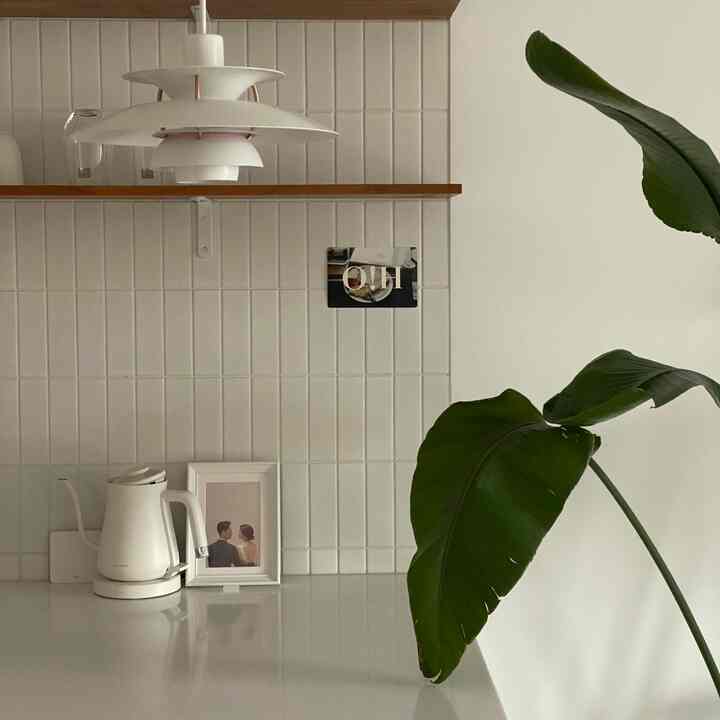 White and green toned kitchen space featuring simple modern pendant light, coffee pot, and a large plant with clean interior
