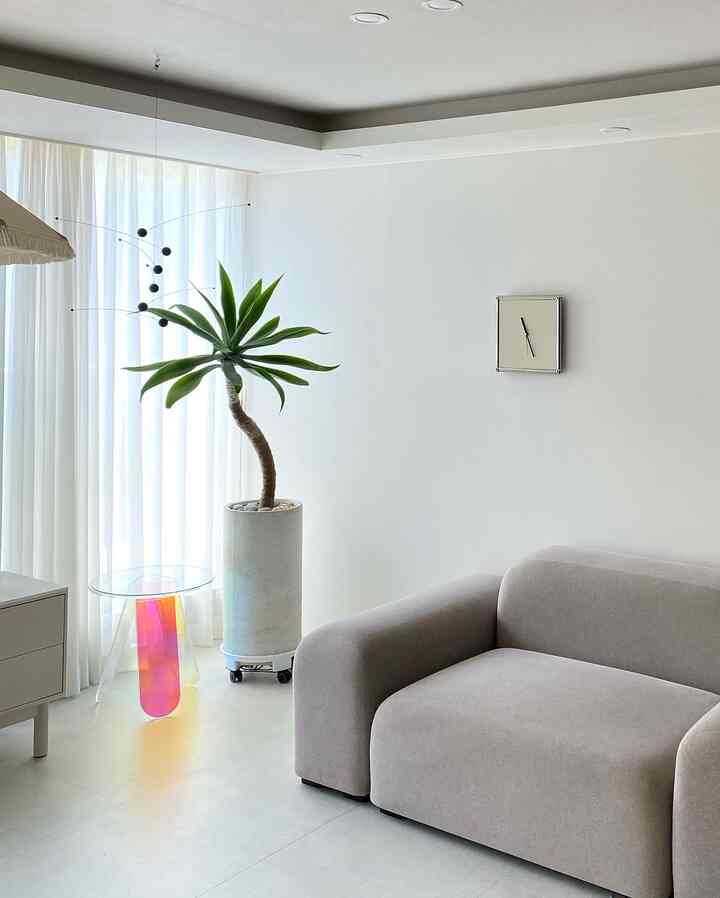 White and natural color living room featuring sheer curtains, acrylic side table, and large plant in a simple modern setting