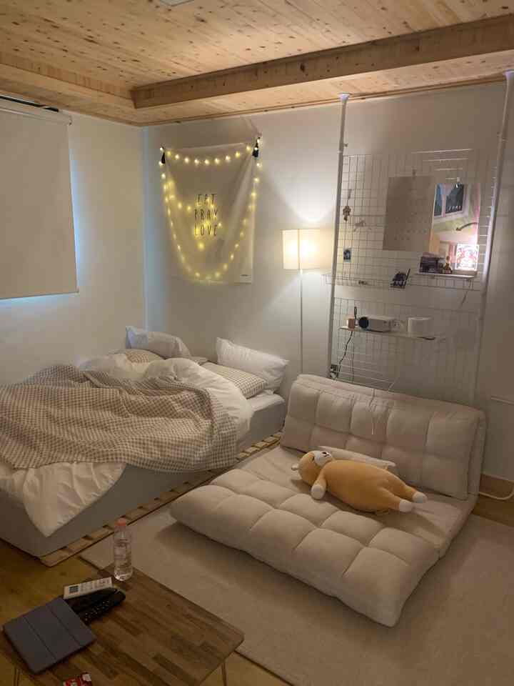 Beige and natural toned studio bedroom featuring bed and sofa bed with a cozy arrangement