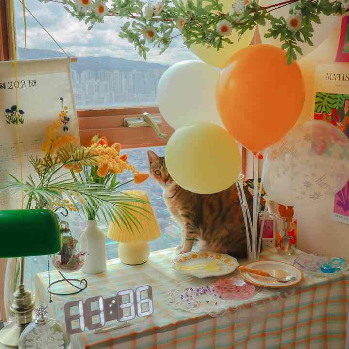 Yellow and orange toned living room by window, table with flowers, a cat, balloons, and vintage decor creating a spring vibe