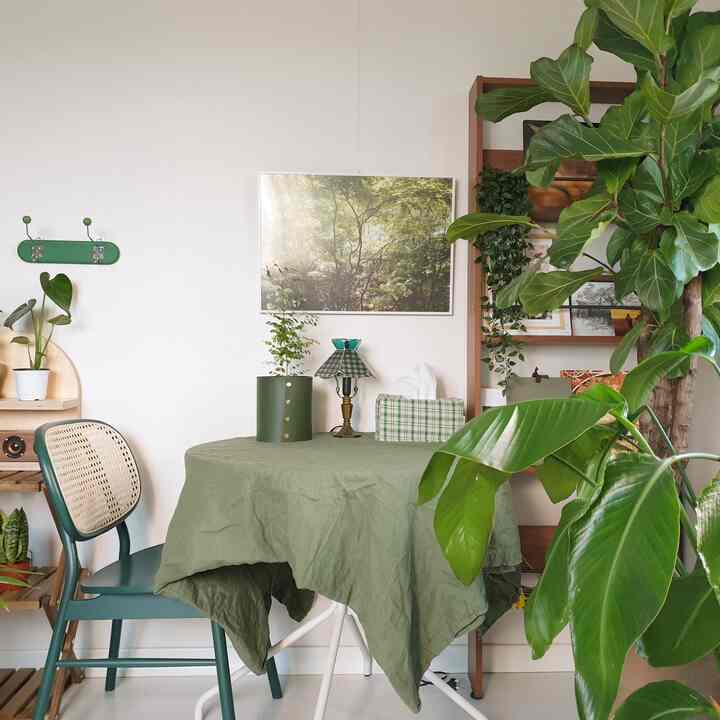 緑色の自然素材家具と多くの植物が配置された、温かみのあるダイニングの雰囲気あるインテリア