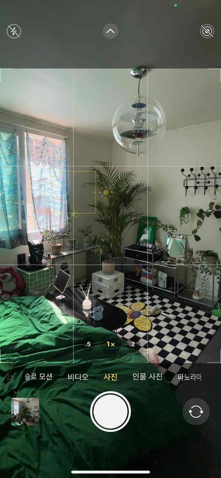 白い壁と天井、緑の観葉植物と緑の寝具、黒のチェッカーボードラグと丸い黒いテーブルが配置されたナチュラルなリビングルーム