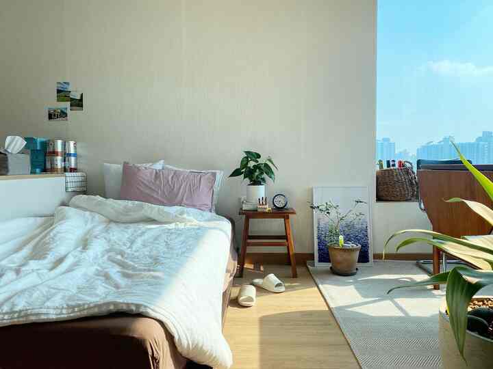 Light ivory-walled bedroom featuring brown low bed, white bedding, plants, and a cozy atmosphere