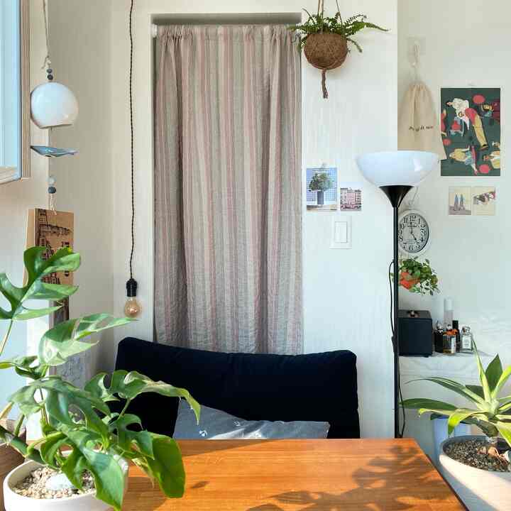Natural beige and wood-tone living room featuring a central striped curtain, wooden table, and diverse indoor plants creating a cozy atmosphere