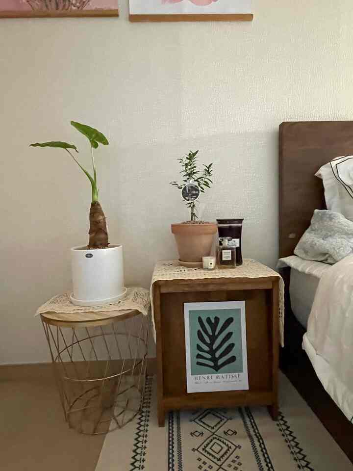 ベージュの床、ナチュラルな木目調のナイトテーブル、ゴールドのワイヤーサイドテーブルと植物が配置された落ち着いた寝室