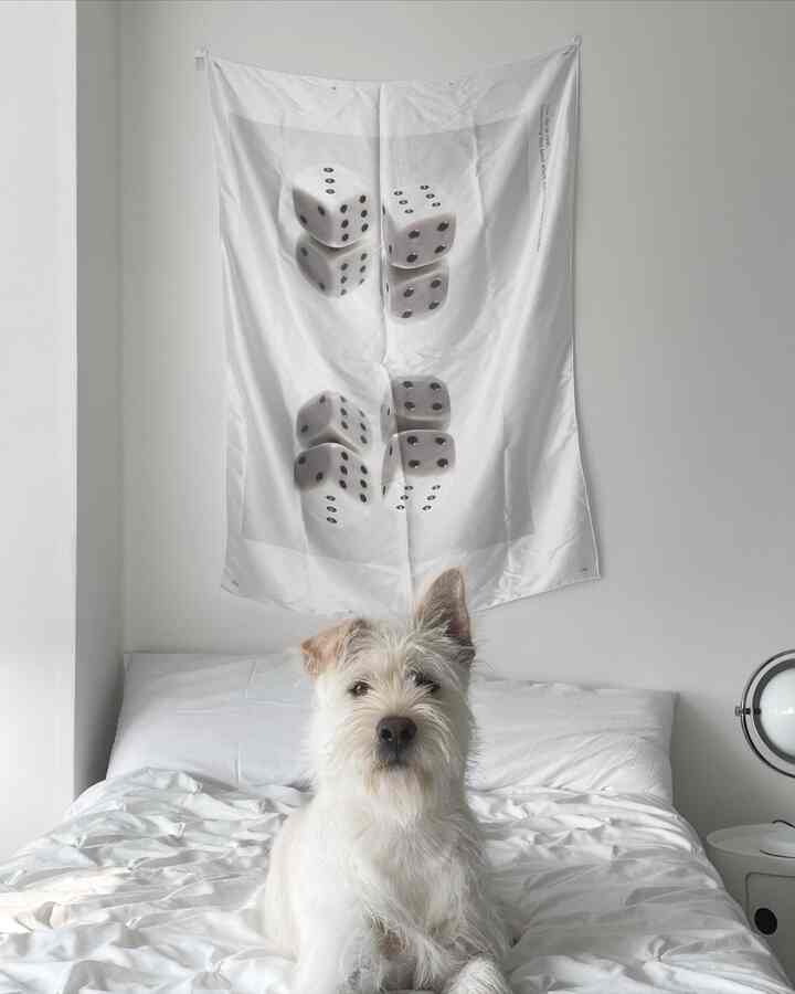 White-toned bedroom featuring crisp bedding and a dice poster on the wall, with a dog sitting on the bed
