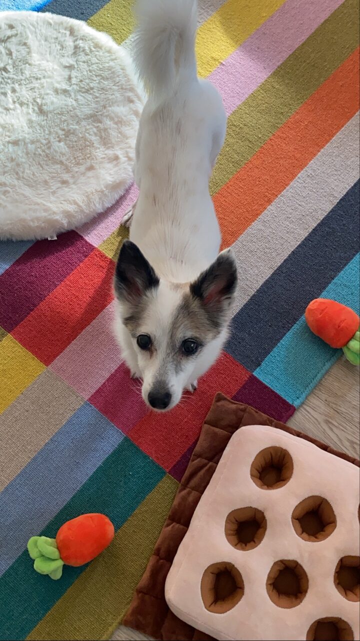 short form carousel card thumbnail