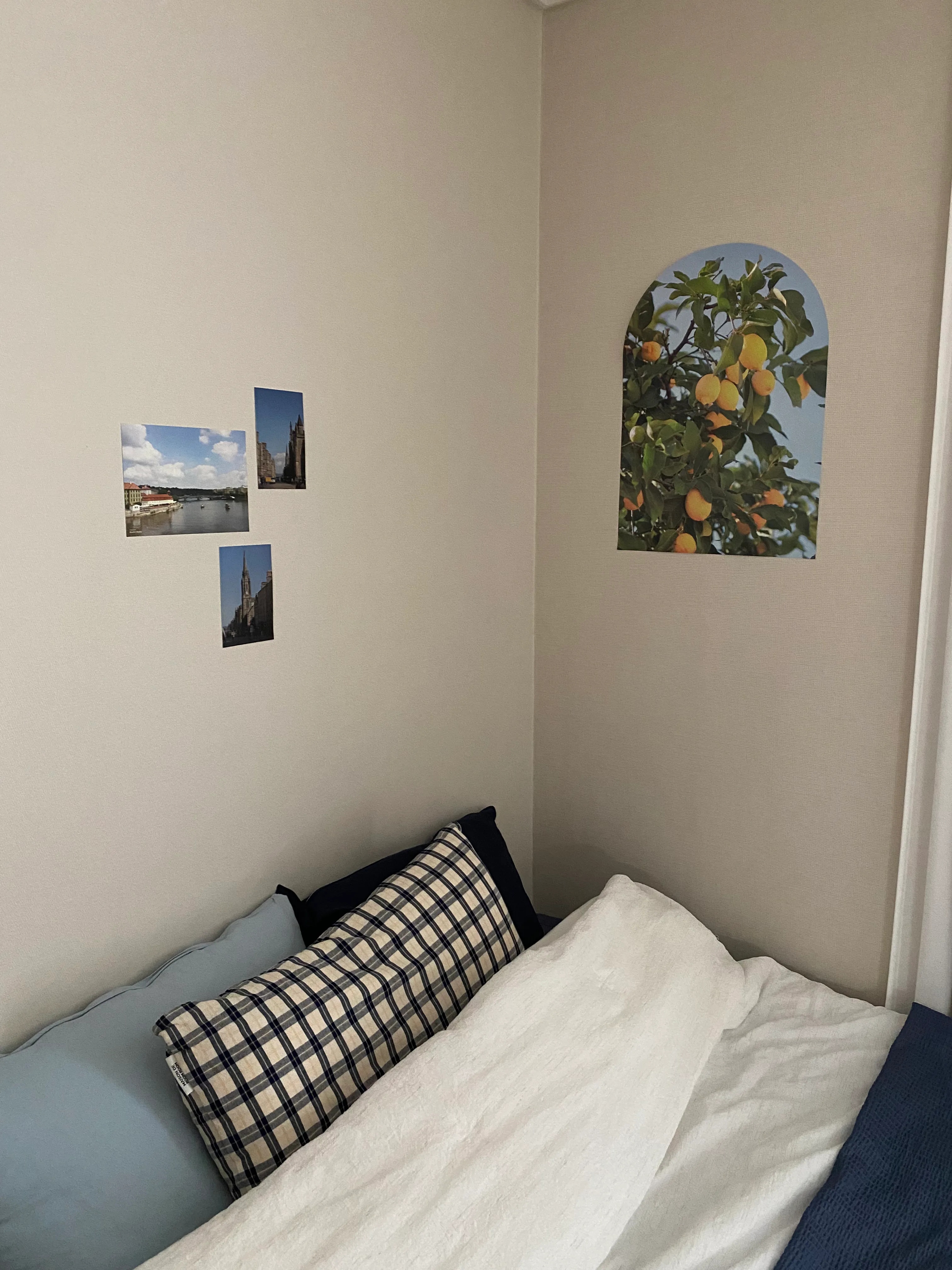 Soft Mood Pillow Cover user photo
