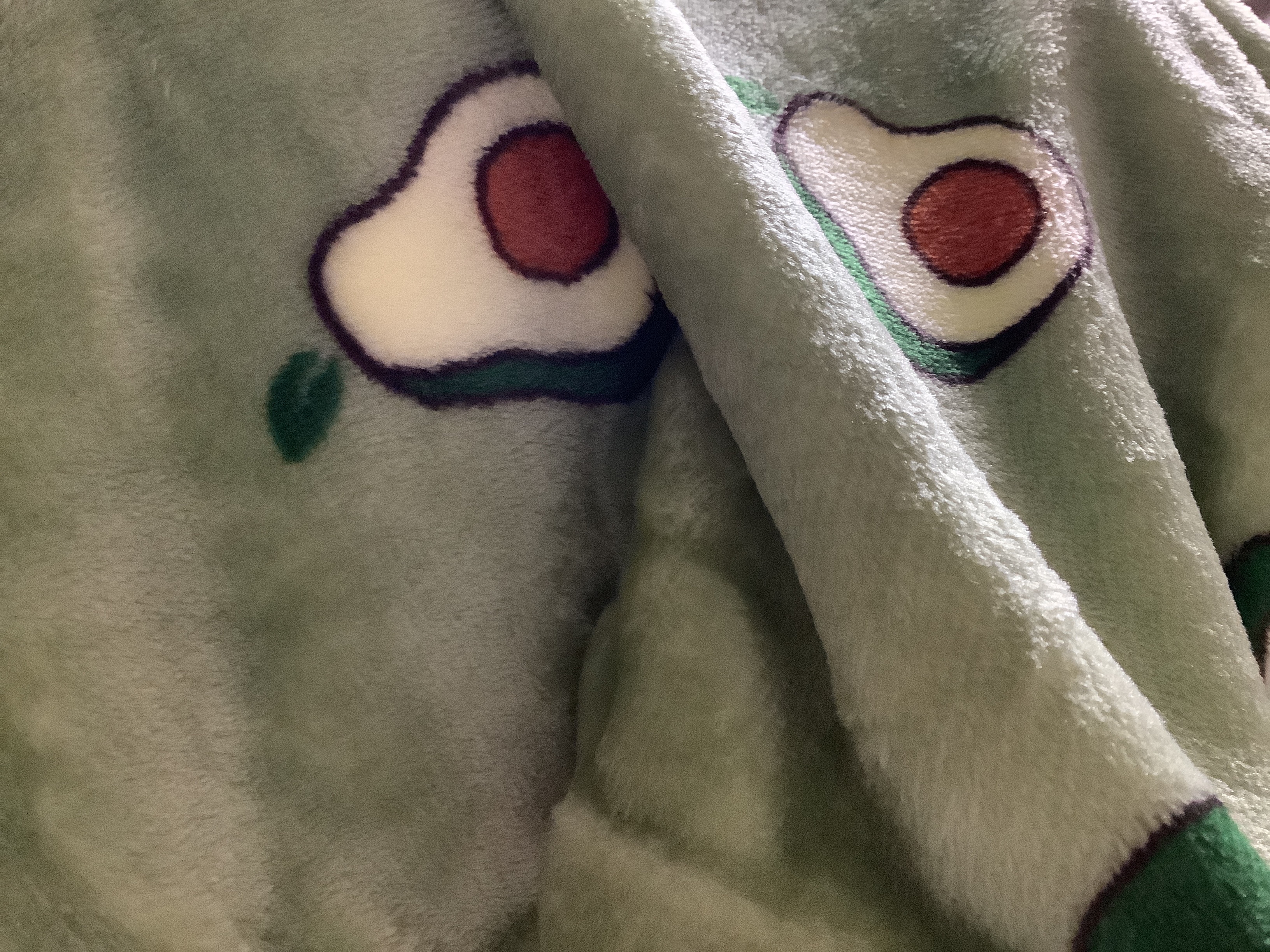Avocado Microfiber Blanket & Comforter user photo