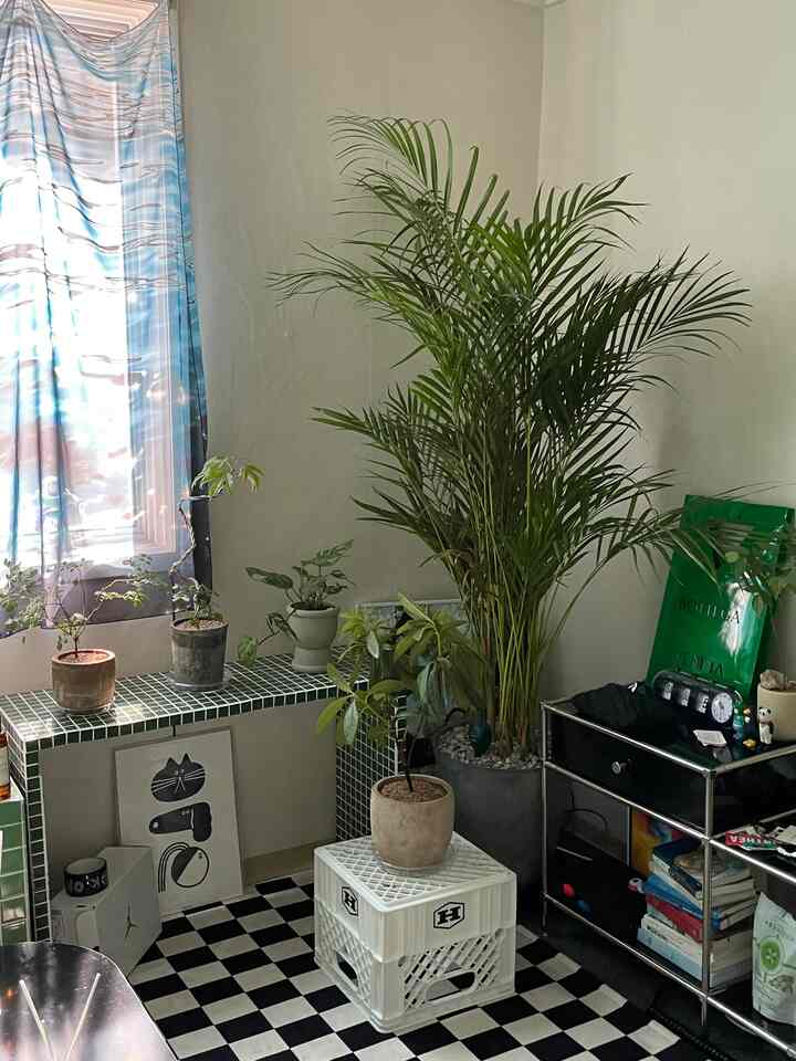 白い壁と緑の植物が調和するナチュラルモダンなインテリア、チェック柄の床とテラコッタ鉢が配置された印象的な空間