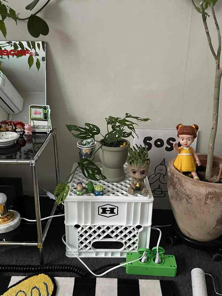 Natural interior space with beige wall, terra cotta pot, and cute succulent Groot planter on white crate