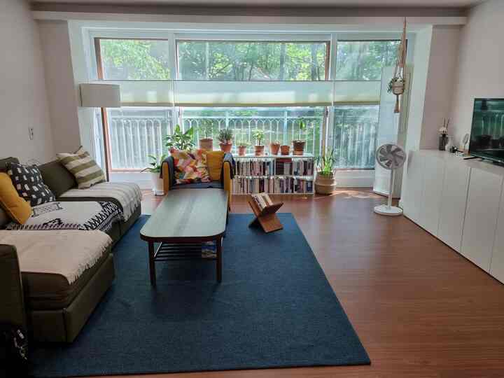 ブルーのラグとブラウンの木目調フロアが調和するリビング、ソファとコーヒーテーブル、窓辺に並ぶ多様な鉢植えがナチュラルで落ち着いた雰囲気のインテリア