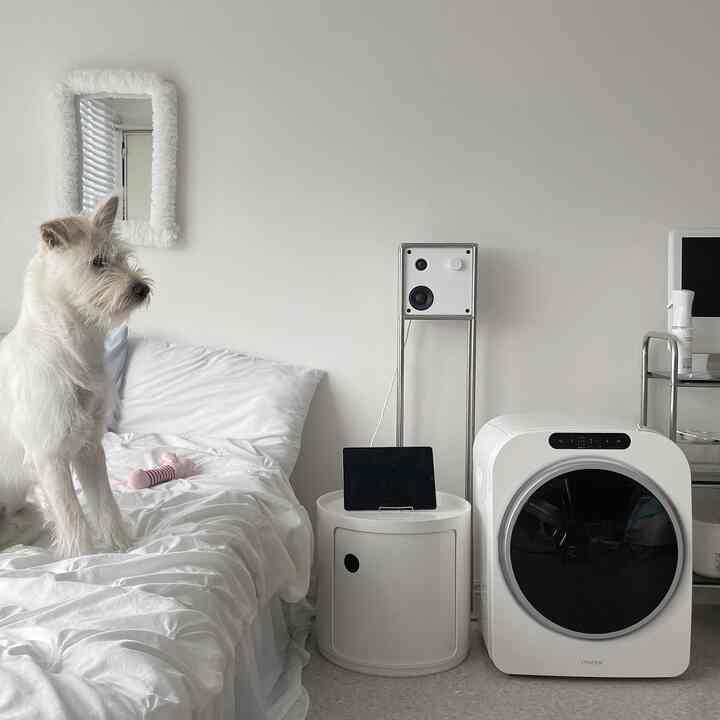 白を基調とした寝室、ベッドの犬、シンプルな家具とミニ乾燥機が配置された清潔感のある空間