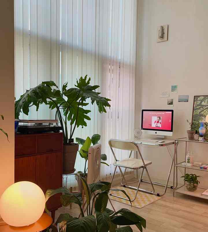 Cozy white and brown toned home office featuring transparent folding chair and large plants creating a harmonious atmosphere