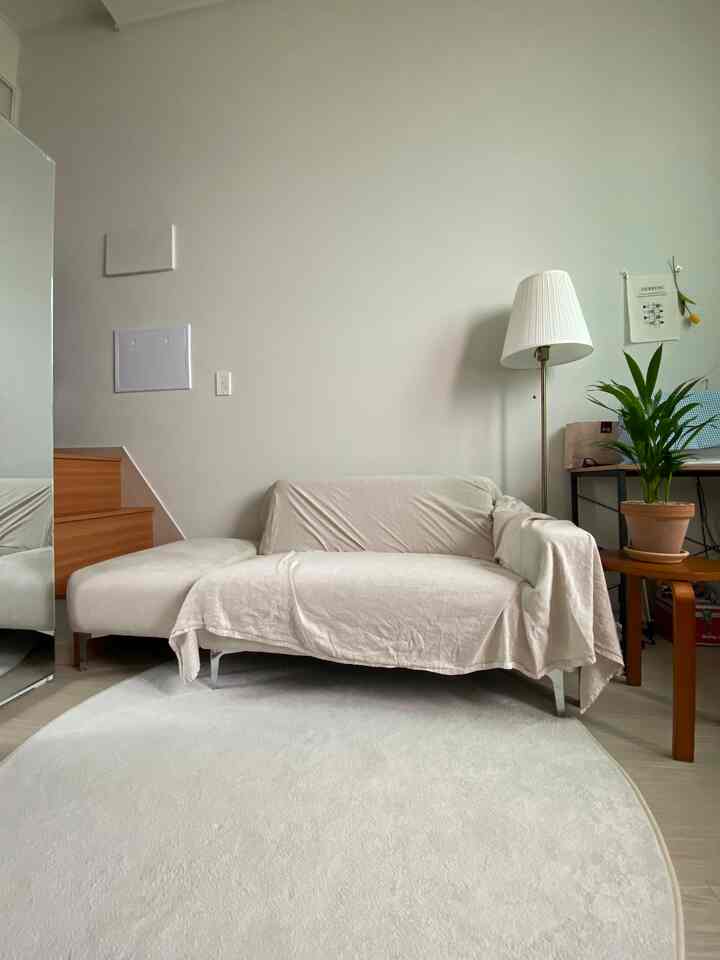 White and wood tone studio living room with sofa, rug, floor lamp, and plant arranged in a natural and simple space