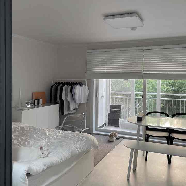 A cozy modern apartment bedroom and dining area in white and gray tones with two cats near the balcony window