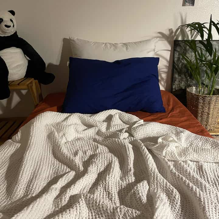 White and blue toned bedroom featuring a bed with pillows, plant on the right, wooden nightstand and a panda plush on the left