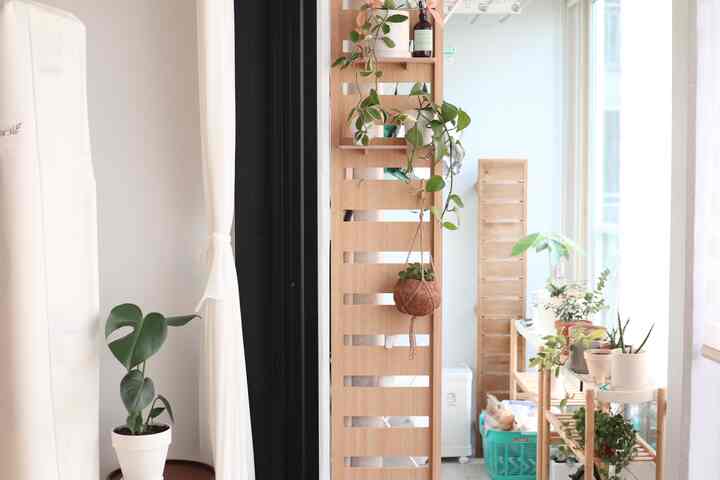 Natural veranda space with bright wood tones and white curtains, featuring various companion plants and a diffuser