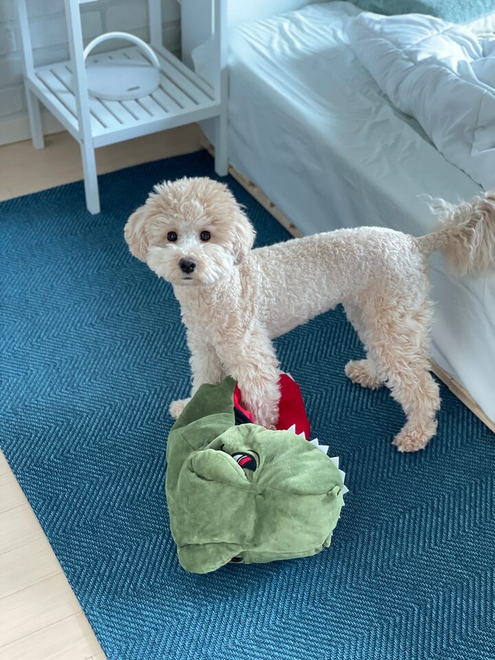 short form carousel card thumbnail