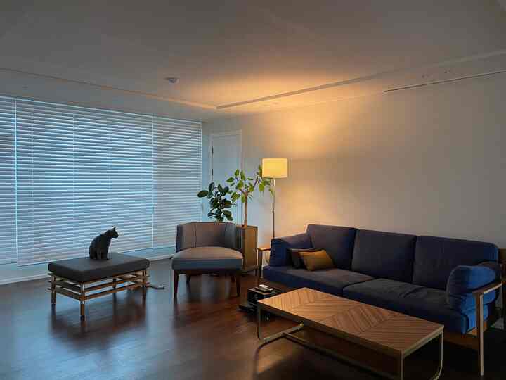 Warmly lit natural-tone living room featuring a navy sofa, wooden coffee table, ottoman with cat, and white blinds