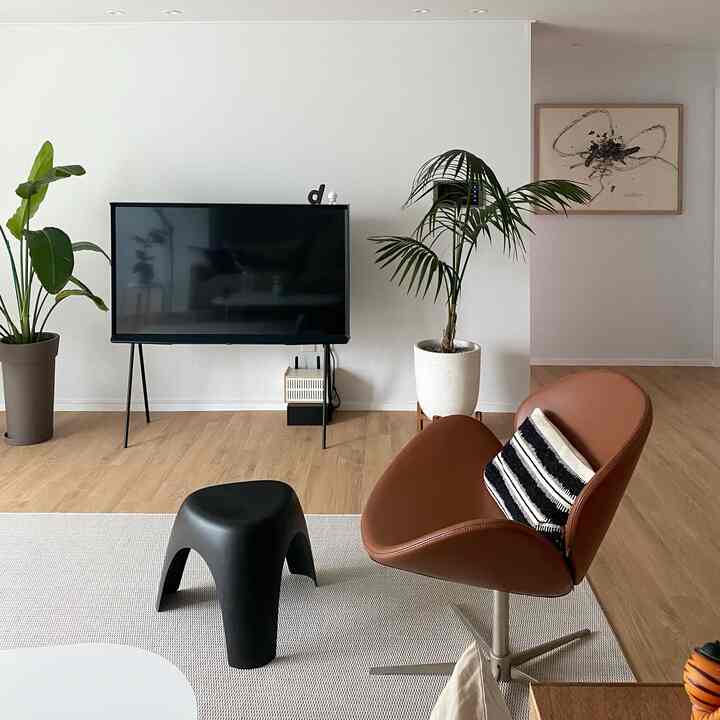 Living room with white walls and brown wood floor featuring a black TV, brown armchair, and plants creating a natural mood
