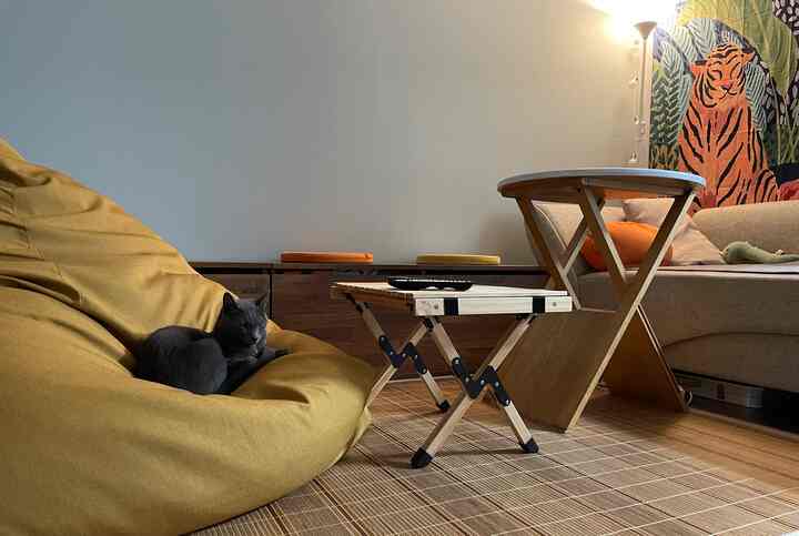 暖かみのあるウッドトーンとイエローのビーズクッションが配置された、一人暮らしの居心地の良いリビング、グレーの猫がクッションの上でくつろいでいる印象的な空間