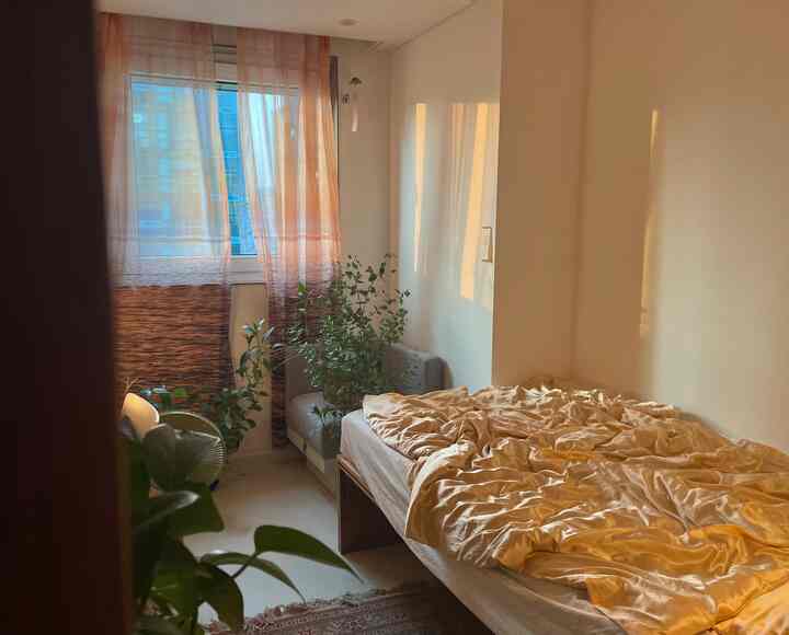 Beige and natural-toned bedroom featuring sunlight through window and plants creating a cozy atmosphere