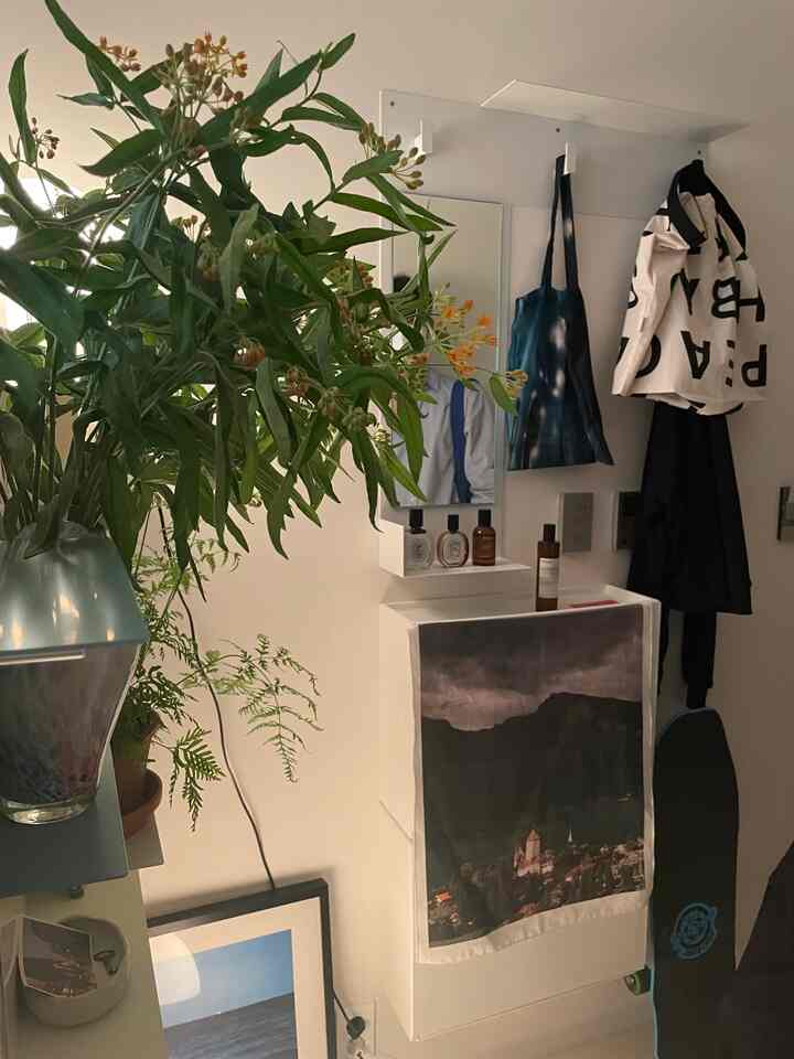 White-walled entrance area featuring lush green plants and hanging bags, creating a cozy and natural atmosphere