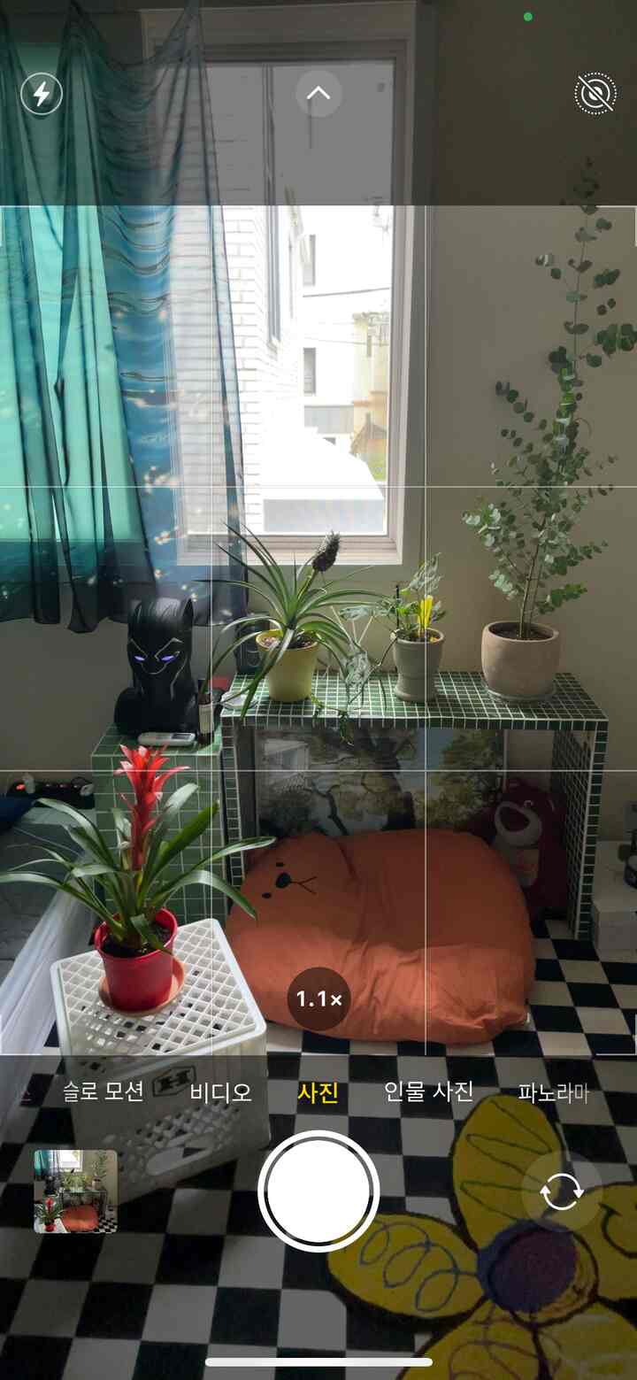 黒と白のチェック柄ラグ、緑のタイルの棚に植物が配置された、窓のある落ち着いたリビング空間