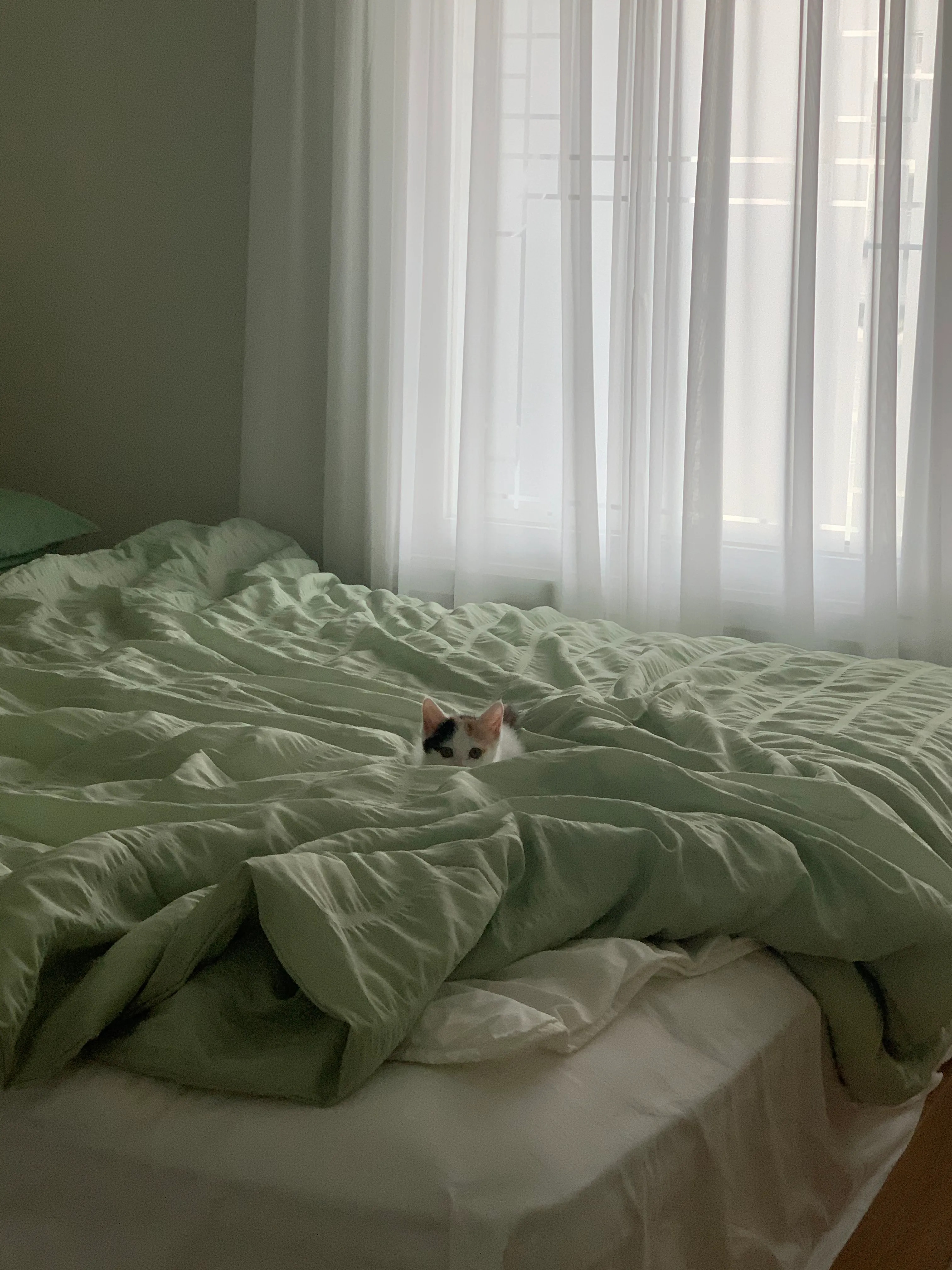 Cool Ripple Seersucker Quilt Comforter user photo
