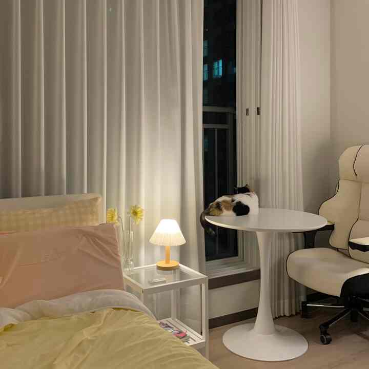 ホワイトとイエローのトーンの寝室、ベッドと丸テーブルの上に猫がいる温かみのある雰囲気のインテリア