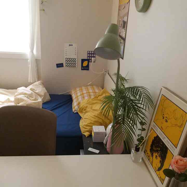 青いベッドシーツと黄色い枕のある小さな寝室、アレカヤシの植物と壁に飾られたヴィンテージポスターが配置された雰囲気のあるインテリア