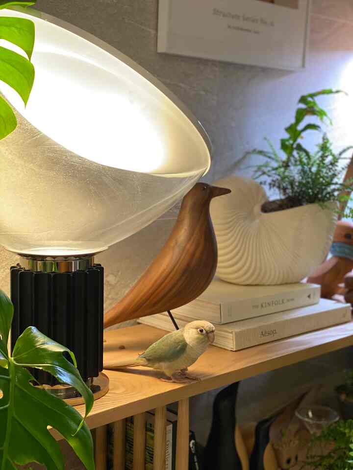 木目調の棚にテーブルランプと木製の鳥のオブジェ、小さなペットの鳥、植物が配置された雰囲気のあるインテリア