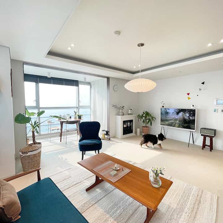 Bright white-toned living room with blue sofa, coffee table, plants, and a pet dog in mid-century modern style