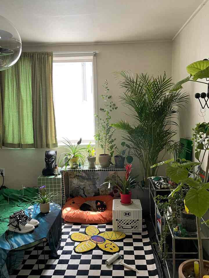 ナチュラルカラーのワンルーム、緑のチェックカーテンと多様な植物が配置された印象的な空間