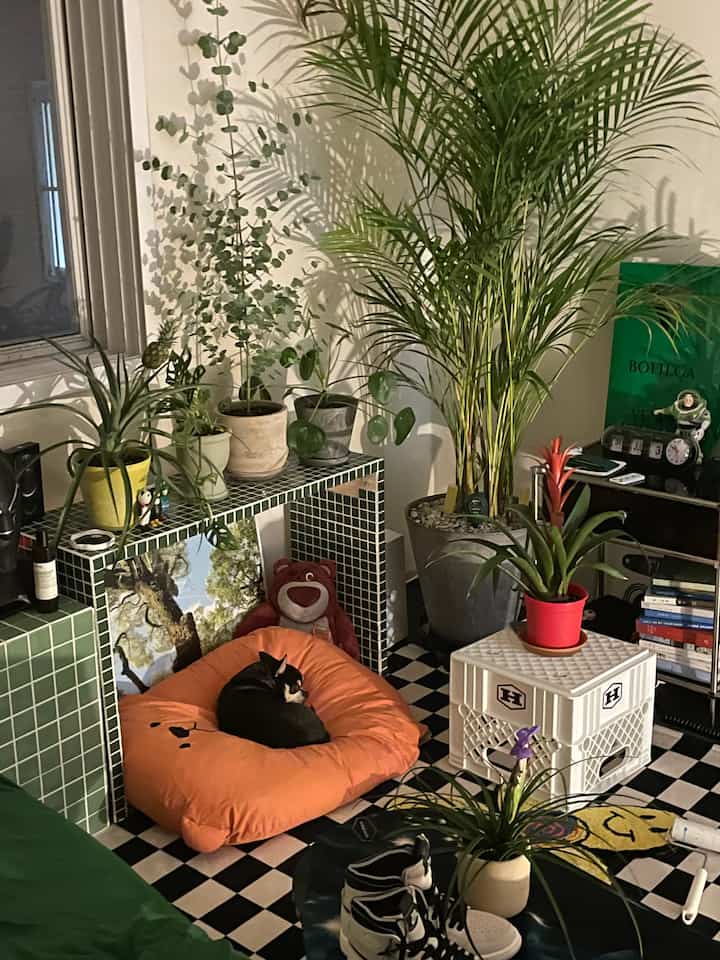 緑の植物が多く配置されたワンルーム、主に緑色とオレンジのクッションが配された暖かみのある自然的な雰囲気のインテリア