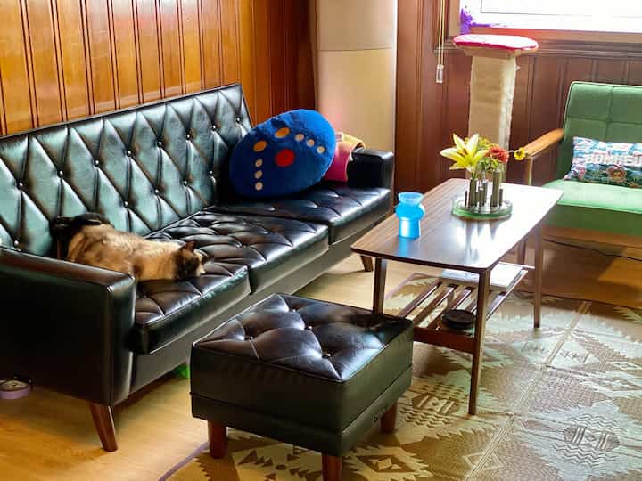 Wood-tone living room featuring black leather sofa and green armchair, creating a cozy atmosphere with natural light