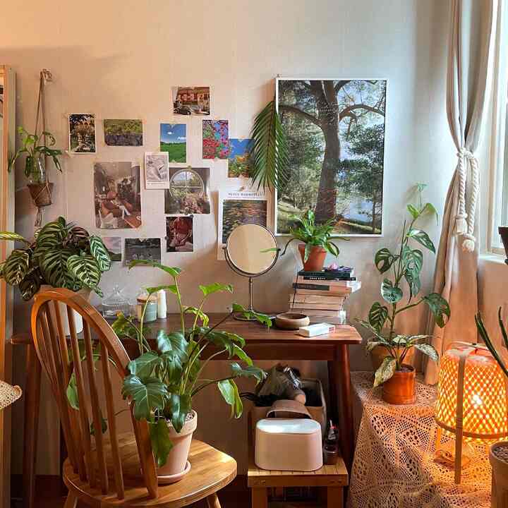 ナチュラルな木目調家具と様々な植物が日当たりの良い窓際のコンソールに配置された居心地の良いリビング