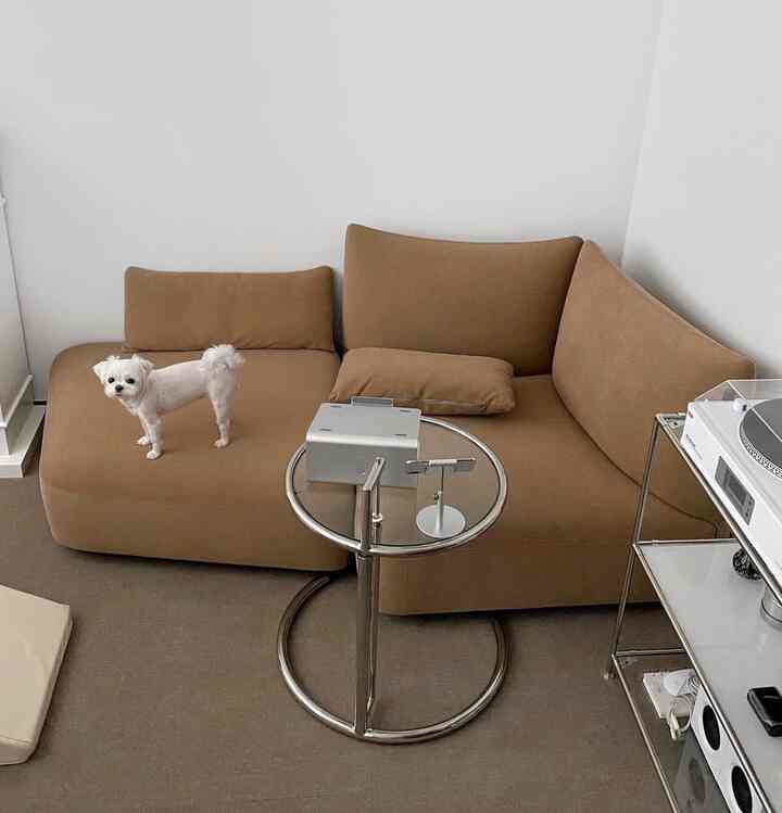 ベージュ調のリビング、モジュラーソファと金属サイドテーブルが配置された、犬と暮らすモダンで居心地の良い空間