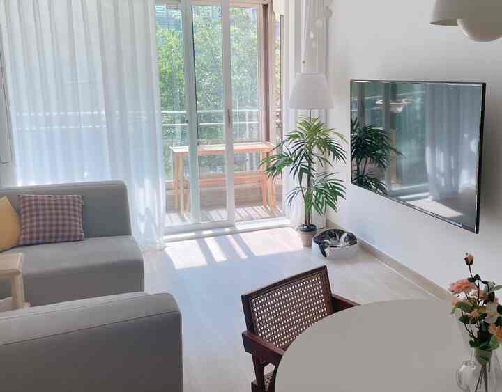 Bright white and wood tone living room featuring a cozy cat and natural sunlight creating a relaxing atmosphere