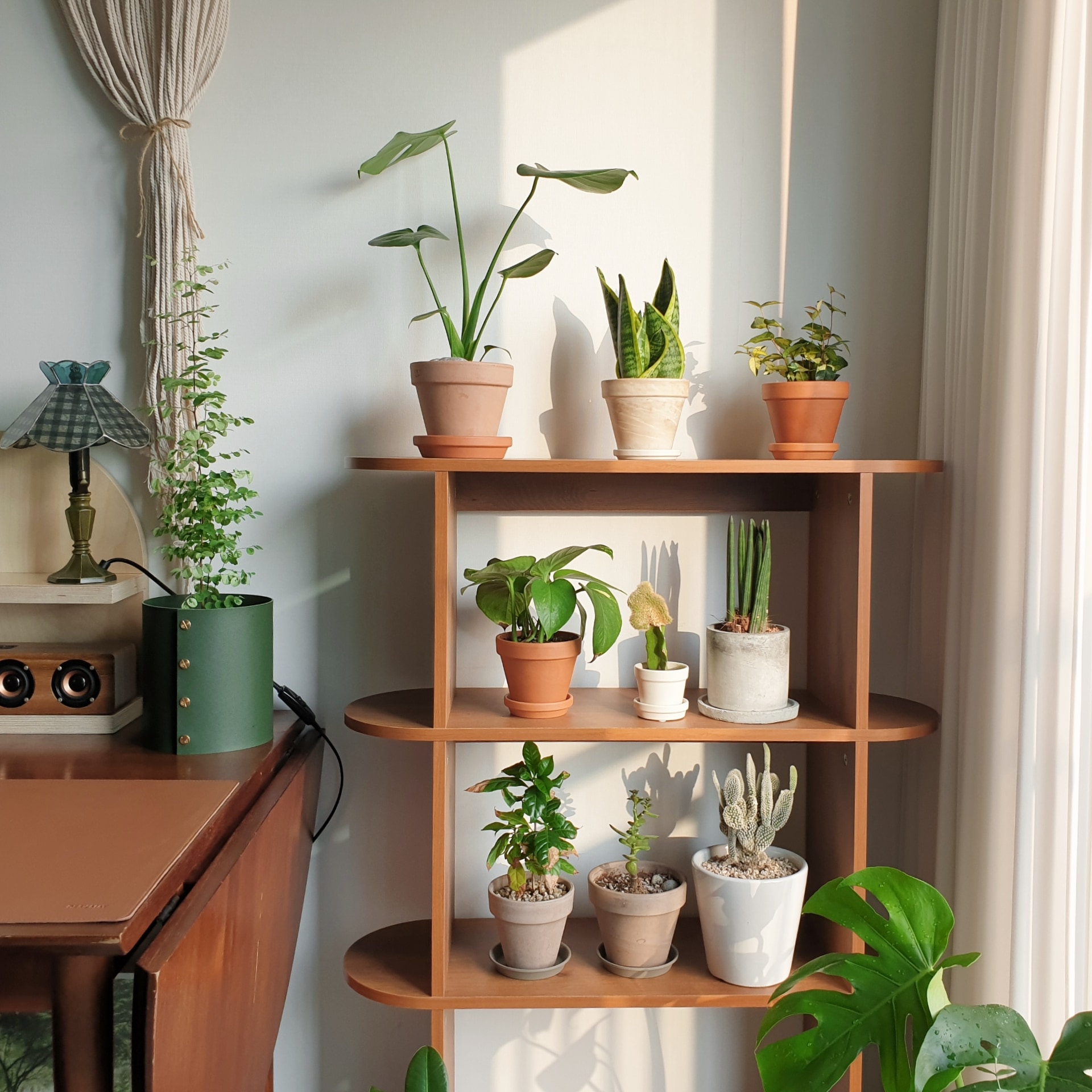 monofolio LOND ラウンド シェルフ ブラウン ミディアム 加工木材