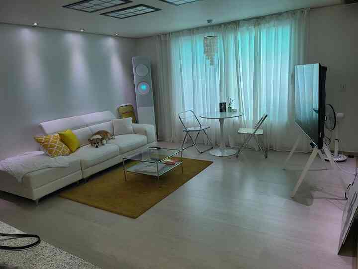 Bright, simple living room in white and yellow tones featuring a dog on the sofa