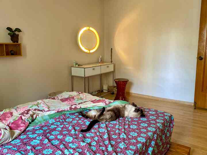 Bedroom with white walls and brown wood-tone flooring, a colorful bedspread with a cat resting, creating a natural mood