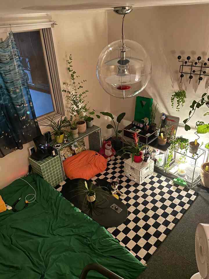 Studio bedroom with black and white checkerboard rug, diverse plants, a dog lying on the floor, and a transparent glass pendant light creating cozy atmosphere