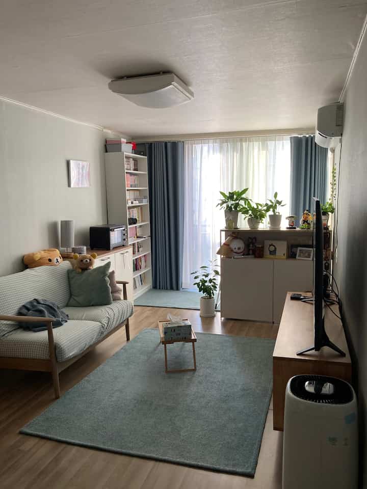 Natural modern living room with white walls, wood-tone furniture, mint-colored sofa and rug