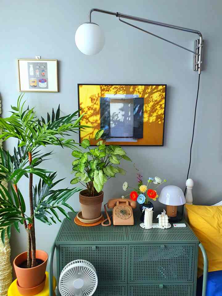 Soft gray wall living space featuring natural plants, colorful picture frame, and ambient lighting with decorative accessories