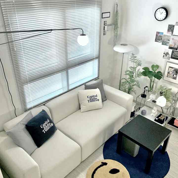 White and navy toned studio living room featuring sofa, lighting, and plants with cozy atmosphere