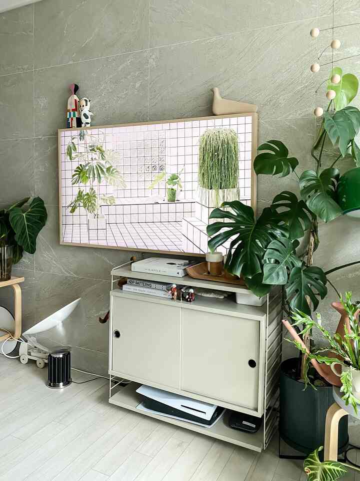 Natural-toned modern living room featuring a TV stand and various plants in a clean setup
