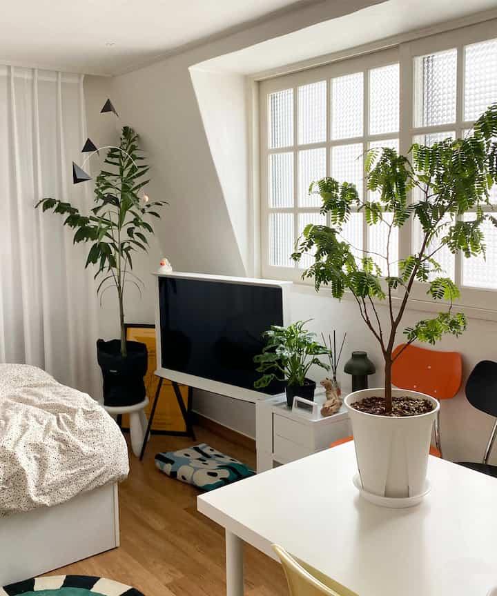 White and wood-tone bedroom featuring plants and a TV with a natural modern atmosphere