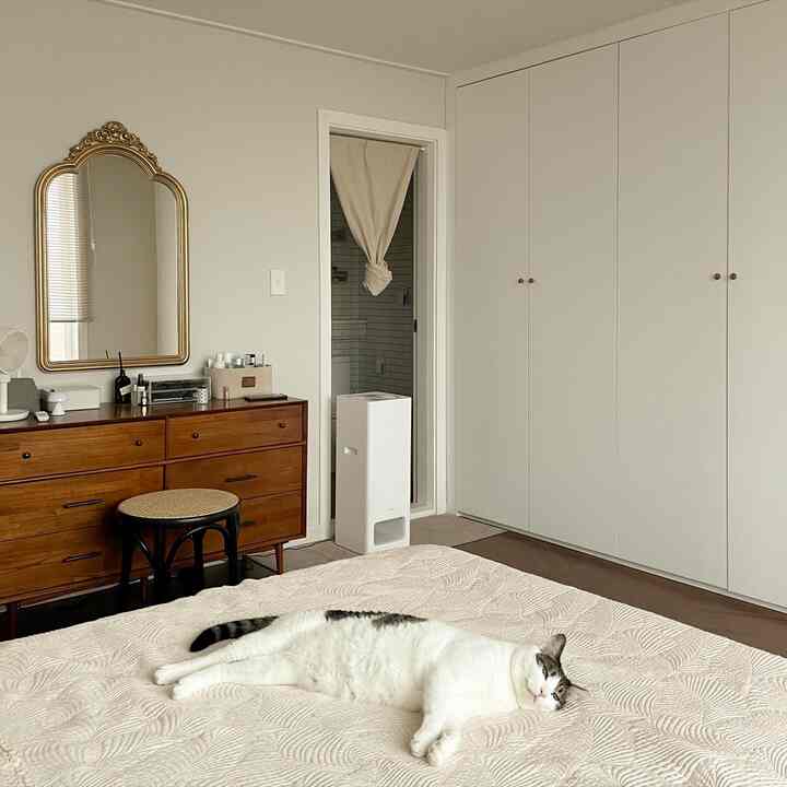 White and wood-tone bedroom with a cat lying on beige bedspread, creating a natural and calm atmosphere